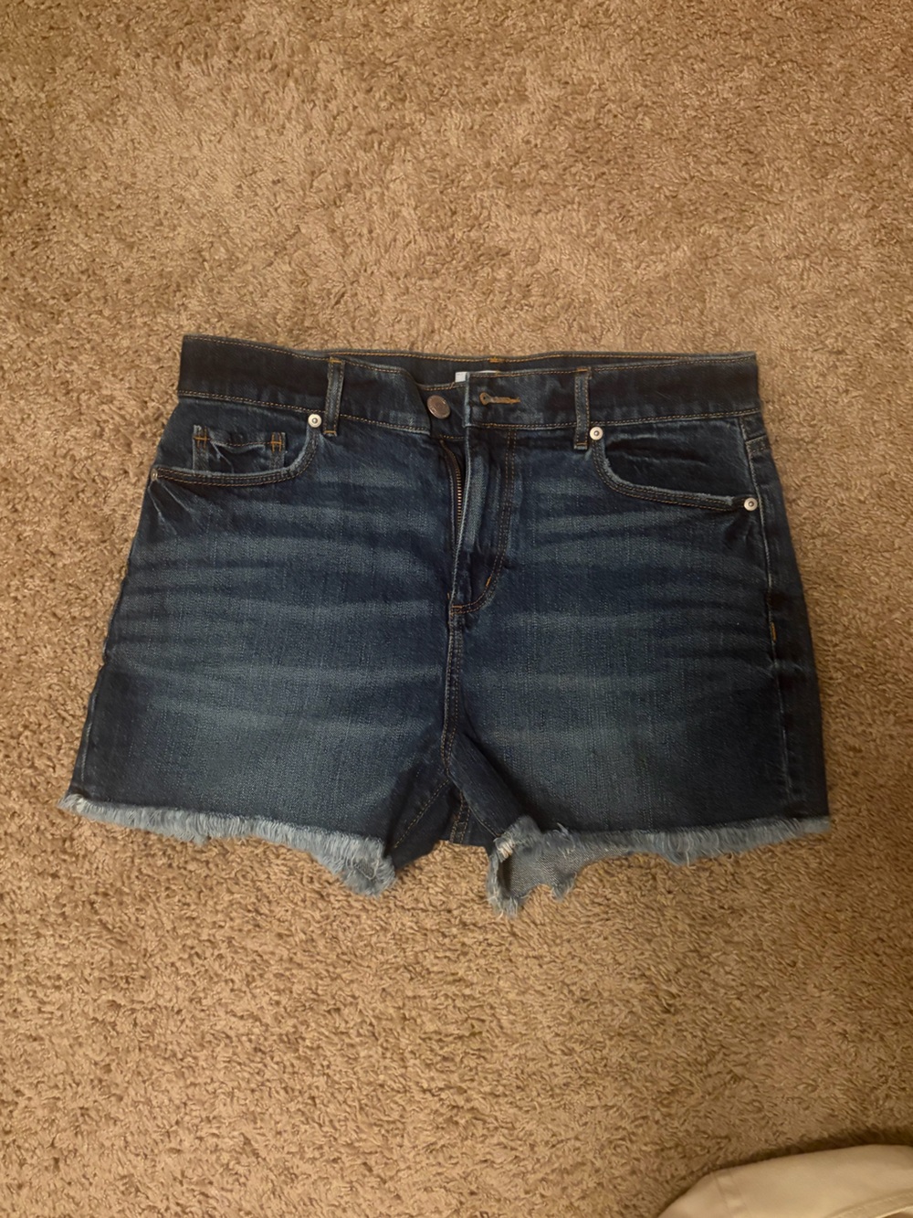 LOFT Dark Blue Denim Cutoff Shorts